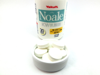 noale-tablet.JPG